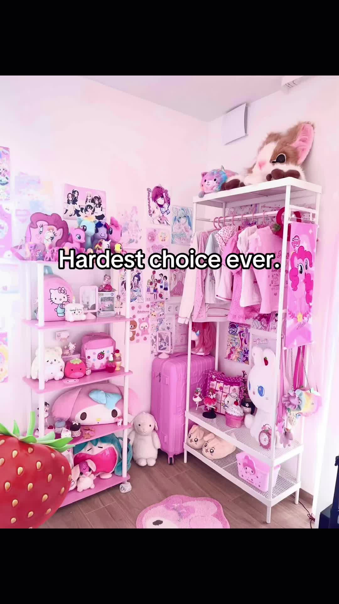 @kitty