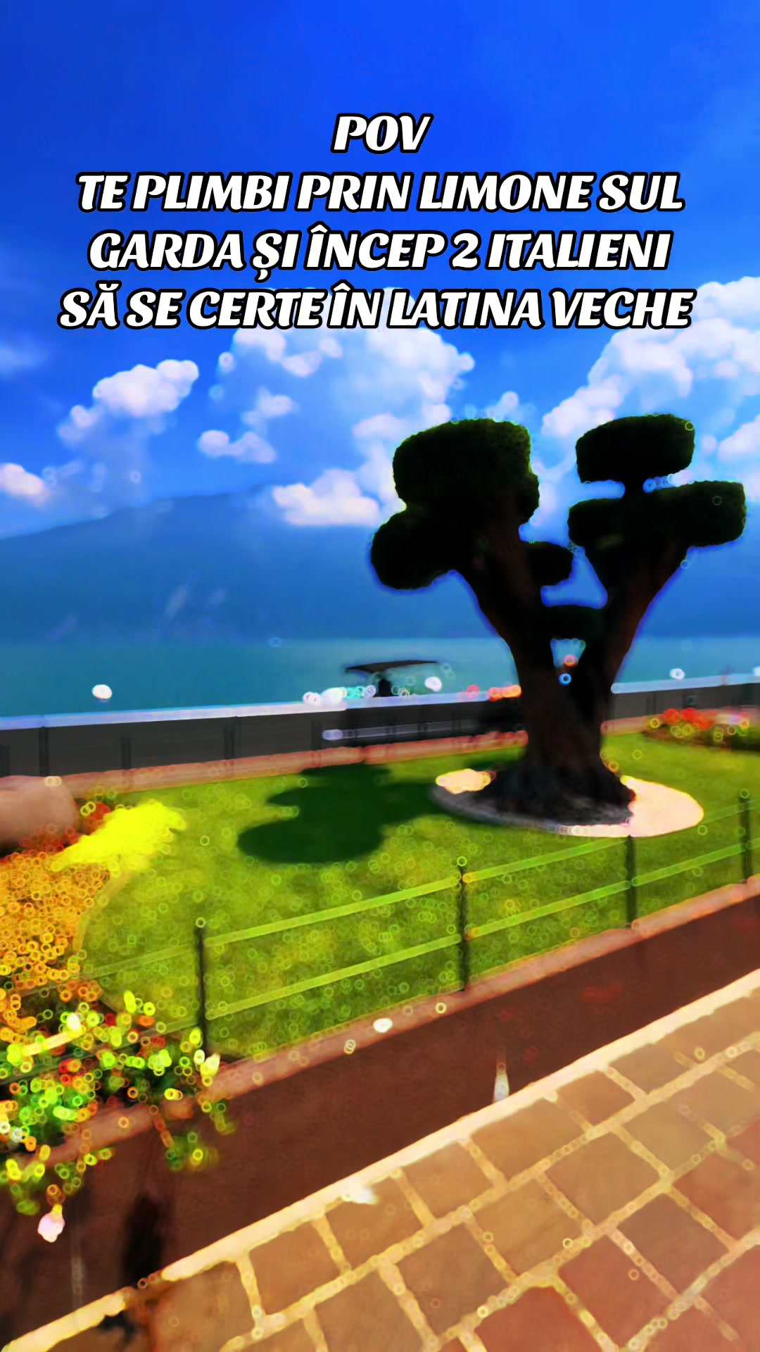 @Alexander Lupes
