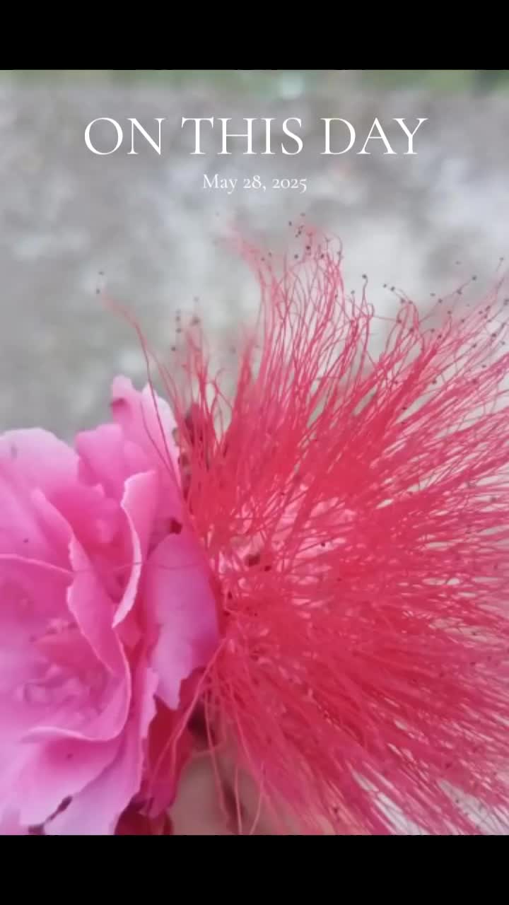 @बिन्दास