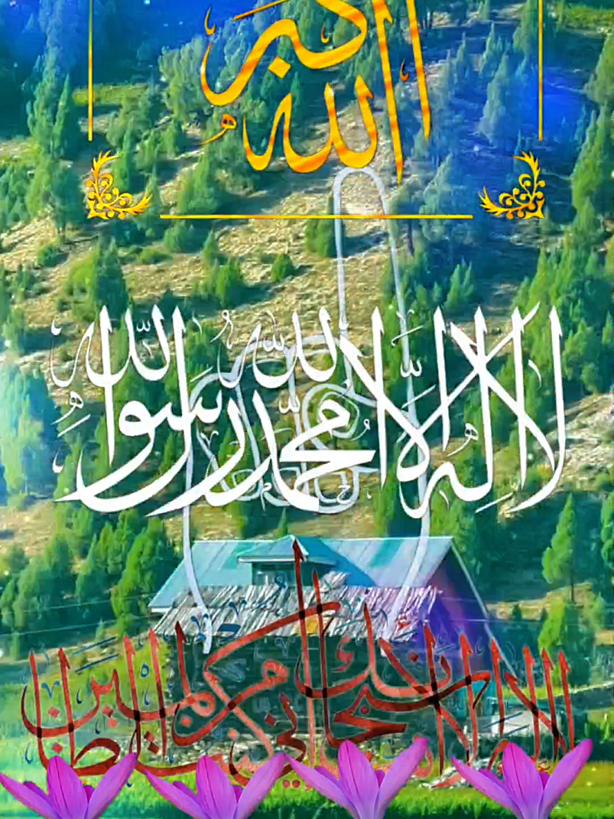 @allah waly
