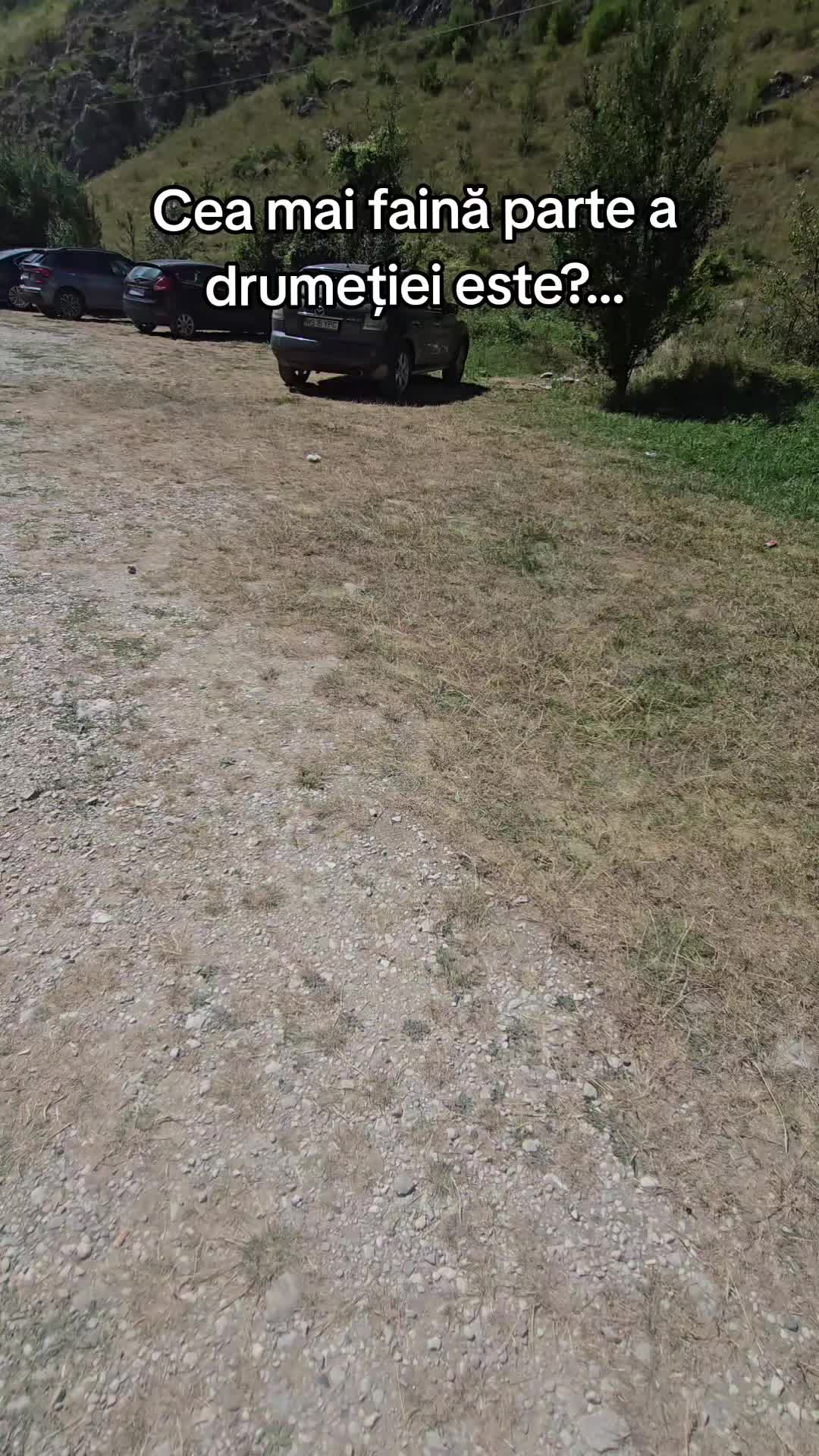 @baiatu' cu drona