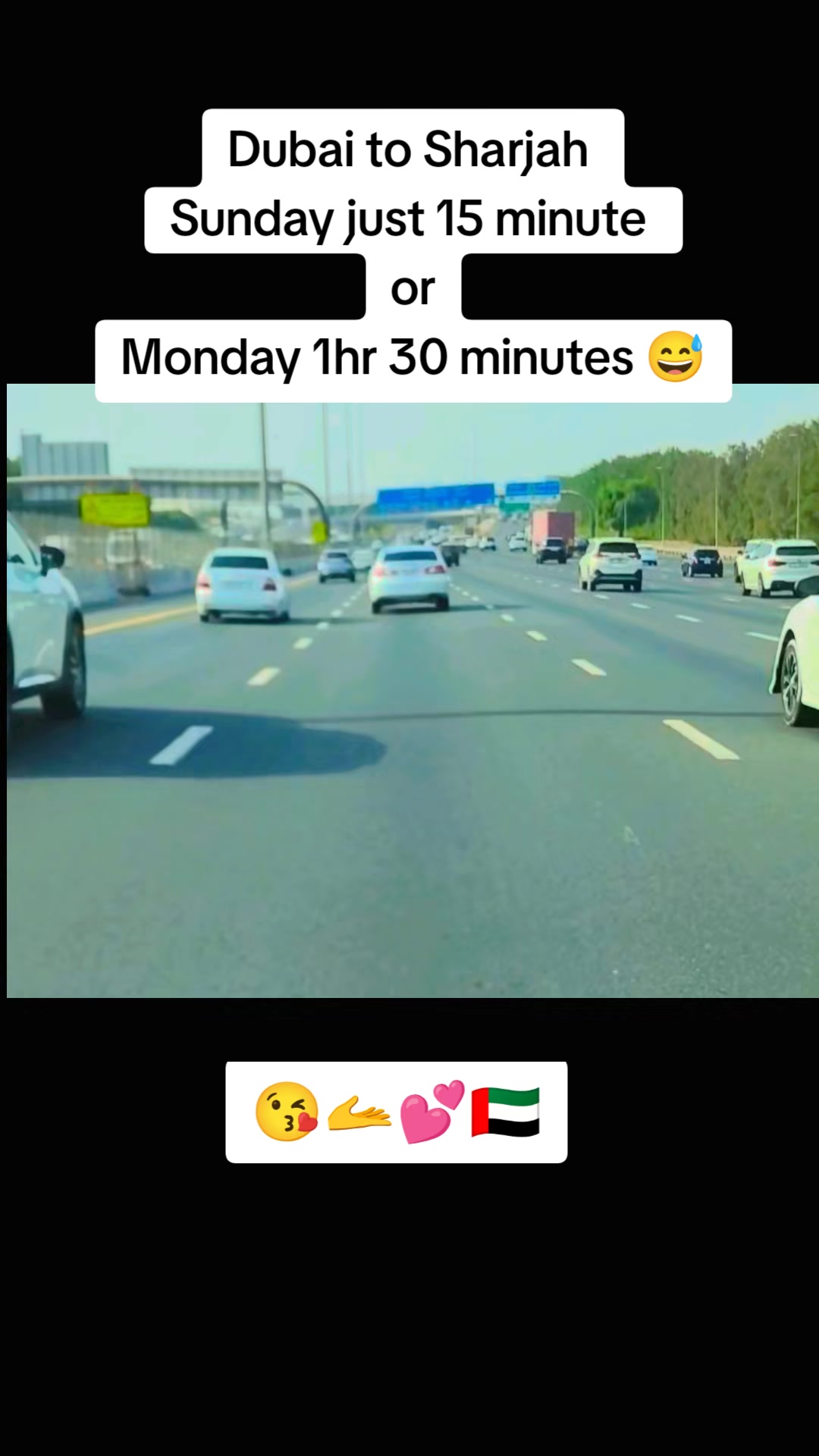 @阿里·吉·西万