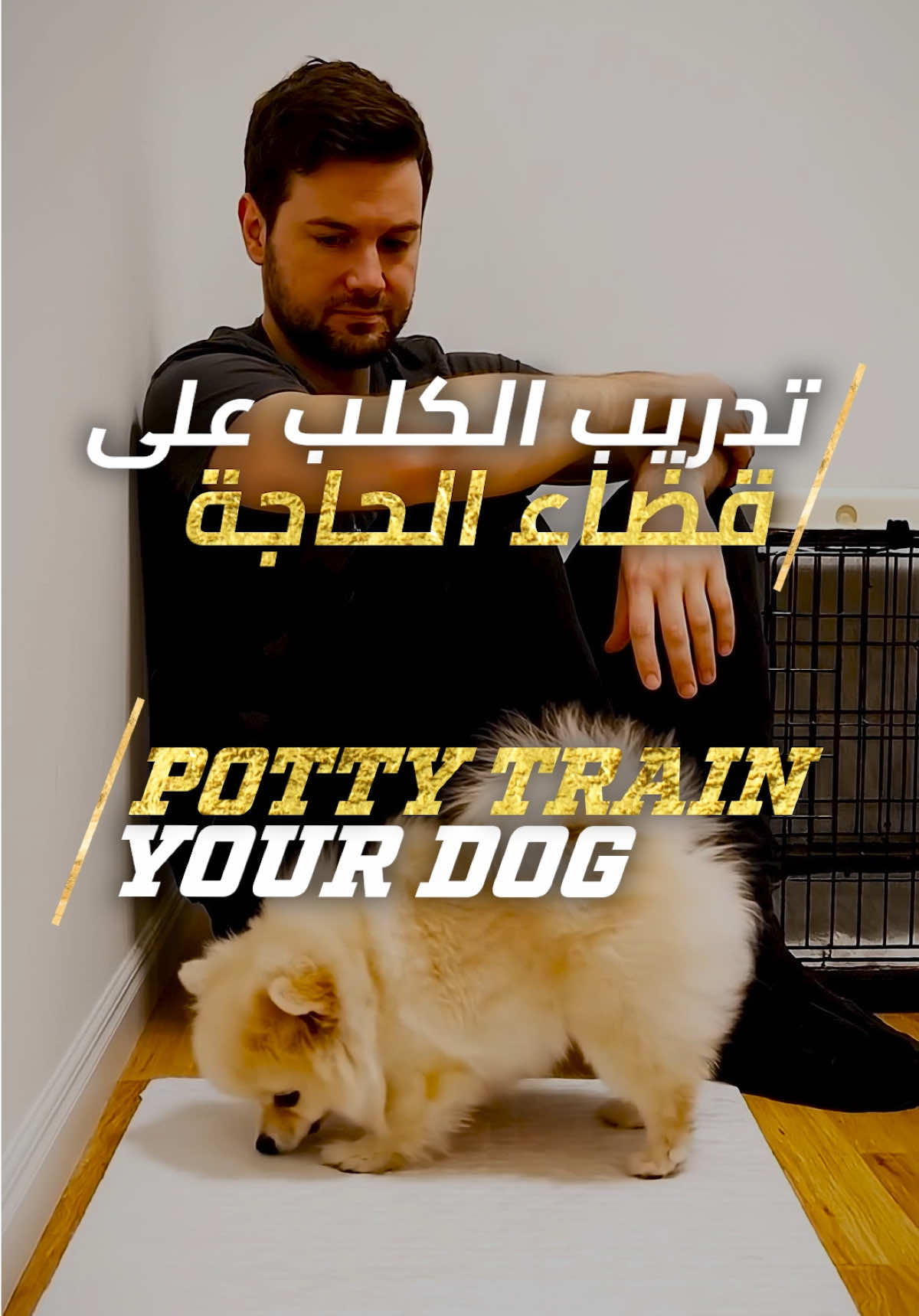 @BYK9
