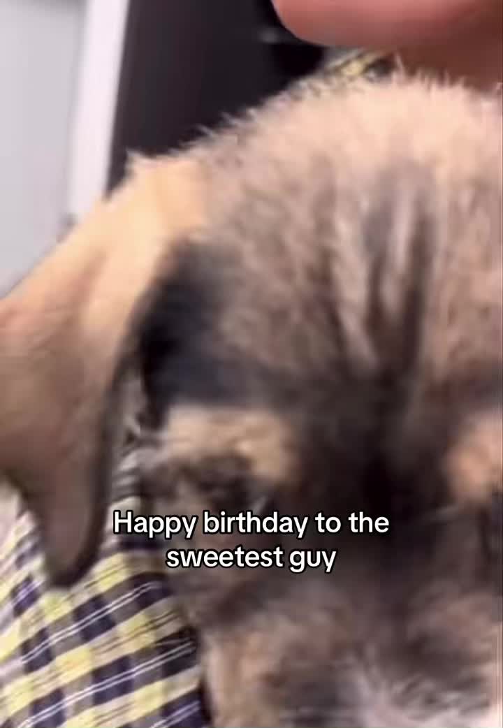 @no.__.kv