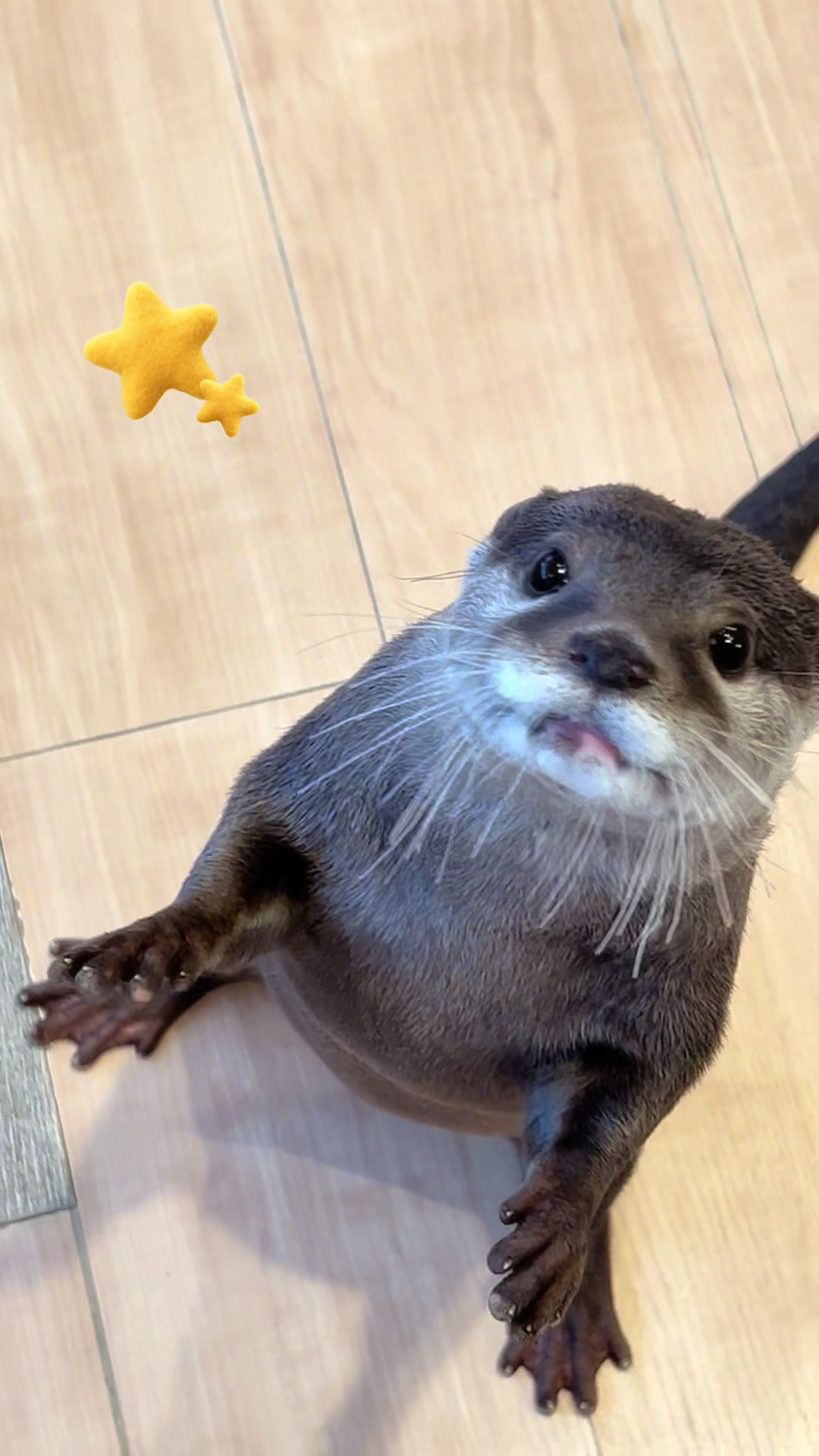 @HARRY原宿テラス