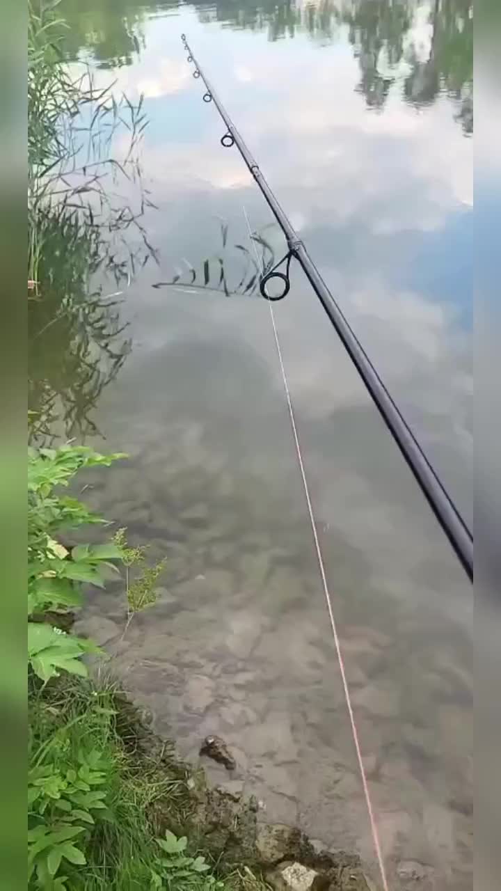 @Stefan🎣Fishing🎣die🎣Legende