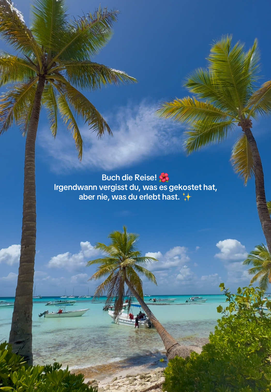 @lauraxleipold