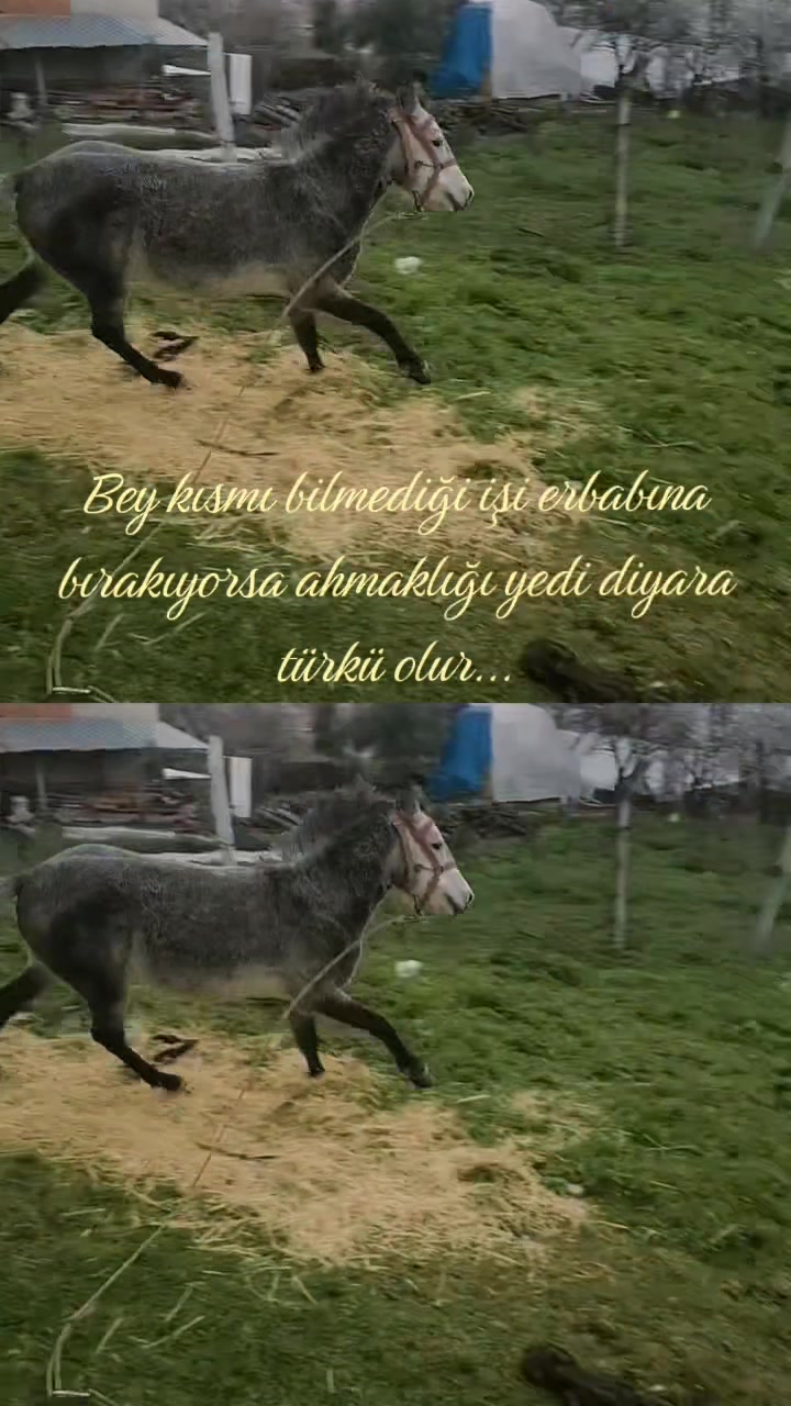 @&Ouml;zkan Heybetoğlu