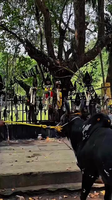 @🔱🦅கருடபகவான்🦅🔱
