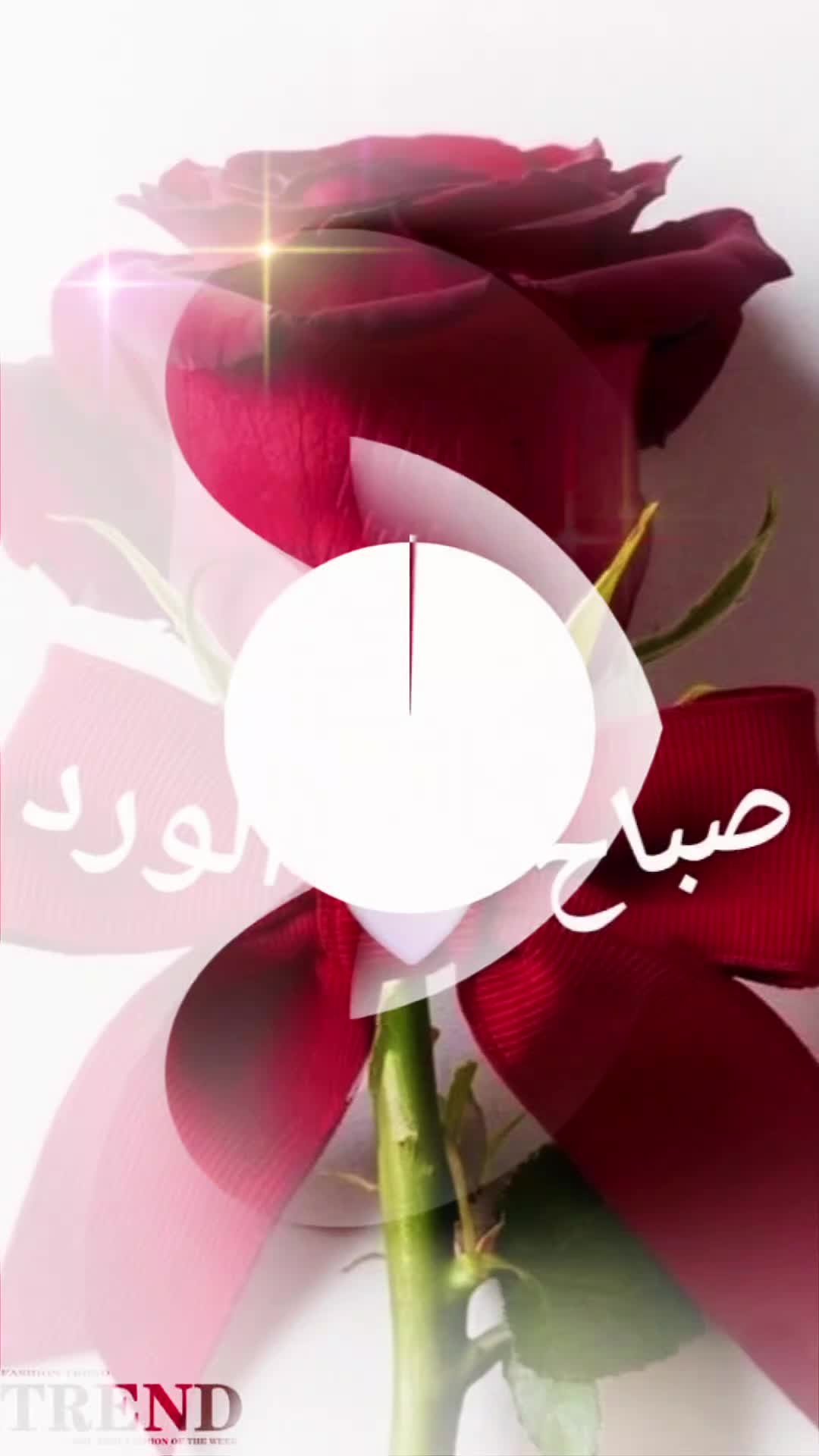 @حديقة الورد🌷🌷