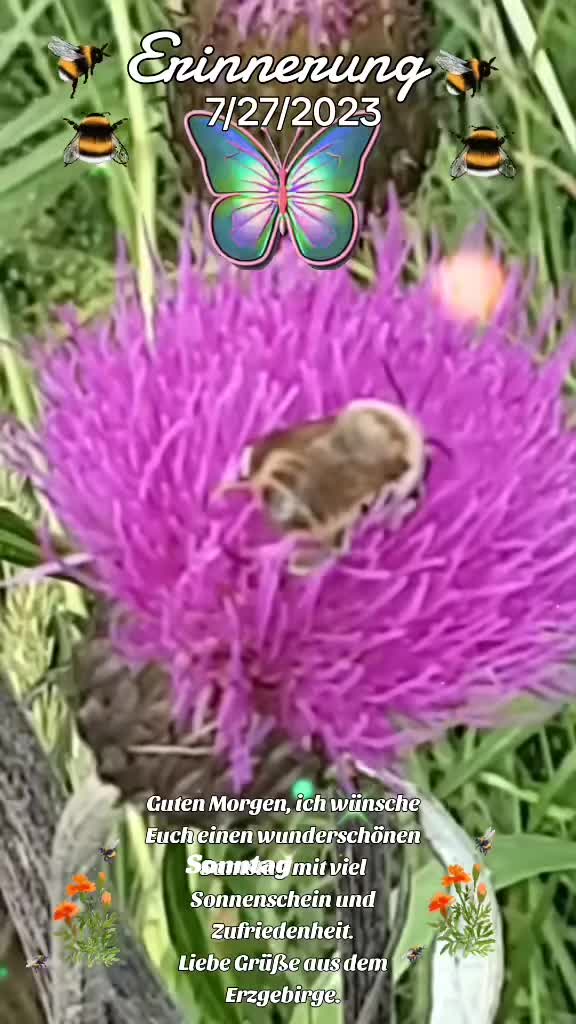 @🦋 Petra 🦋