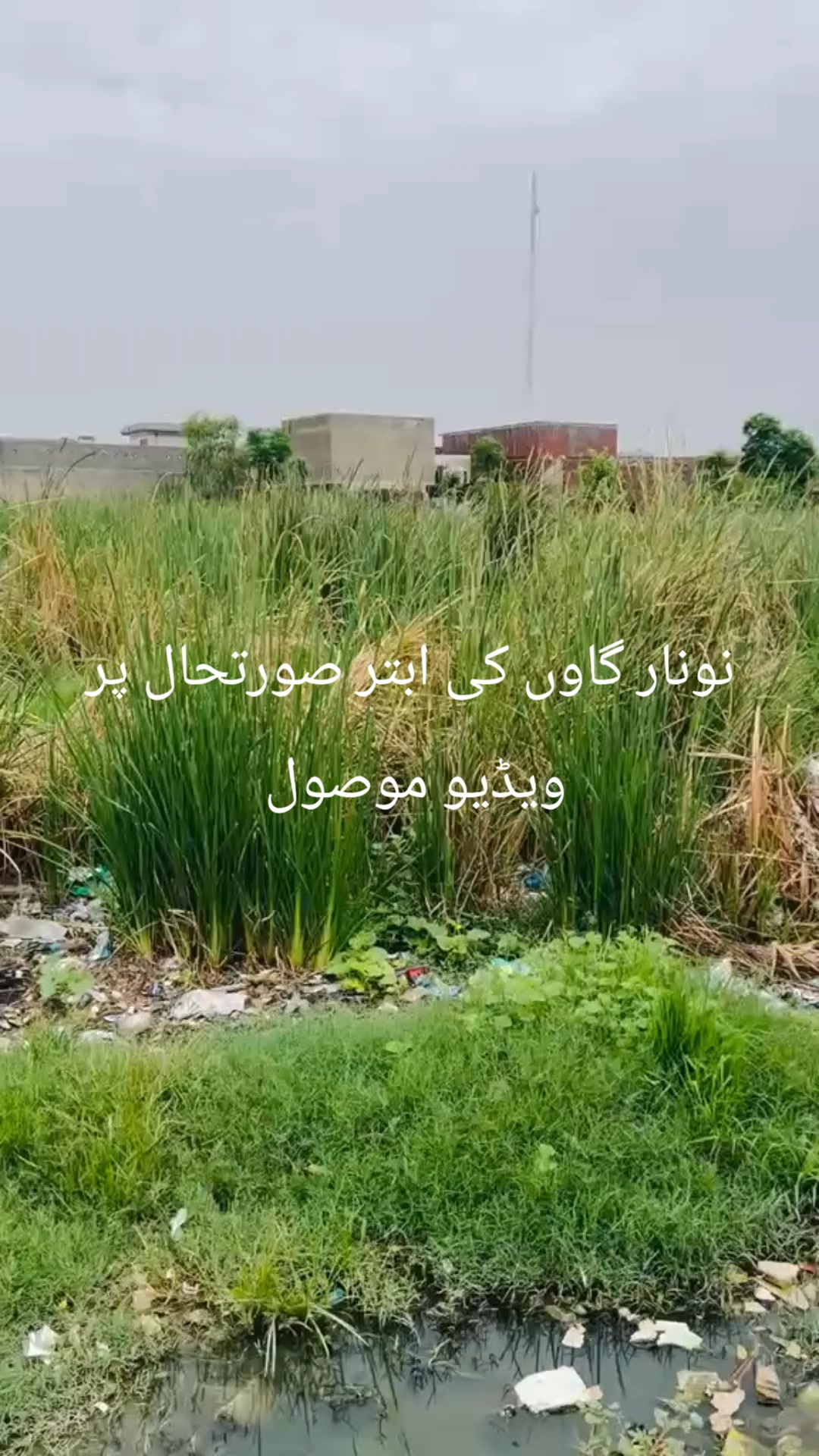 @cpc