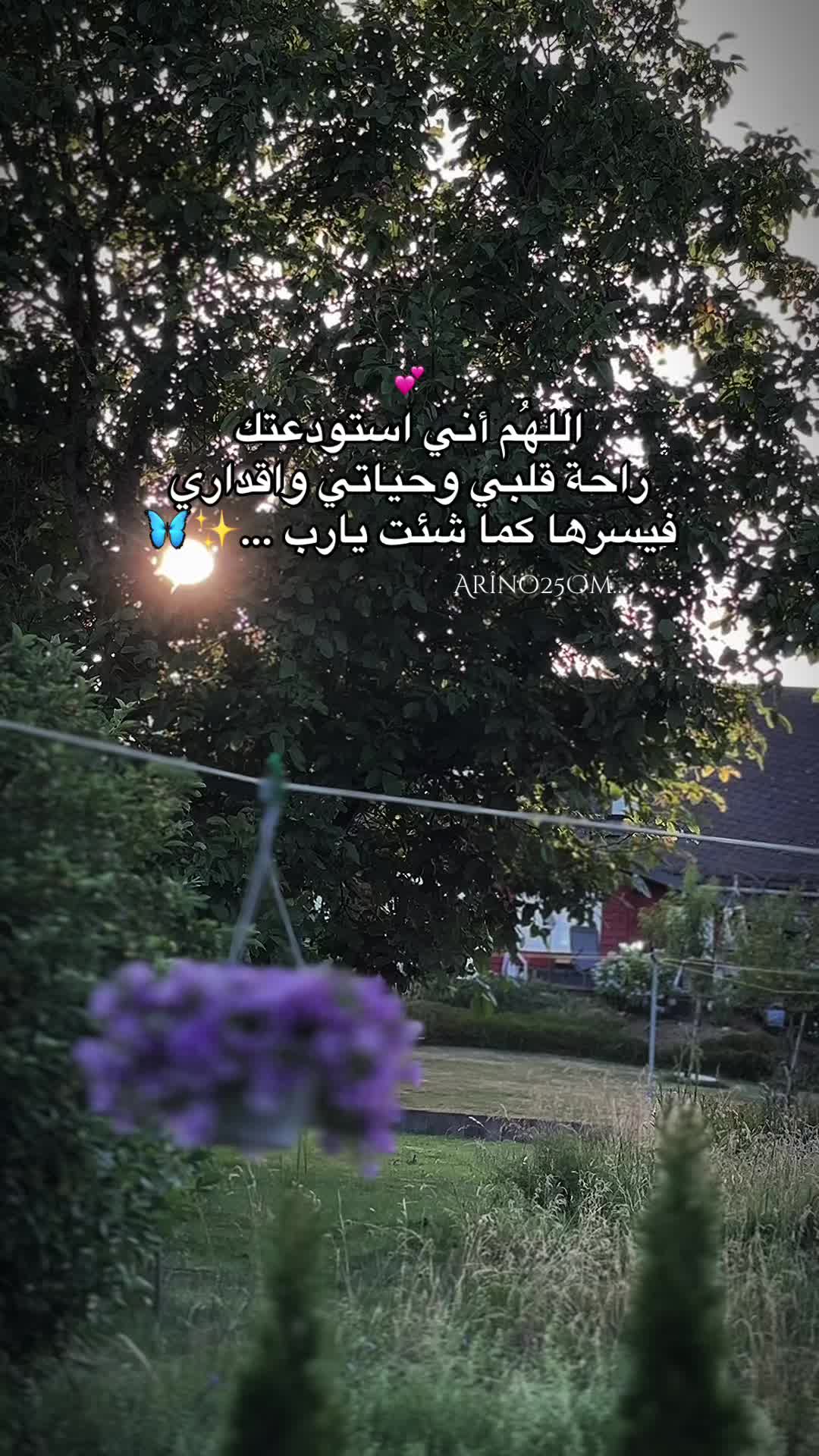 @Ar&icirc;no25Om