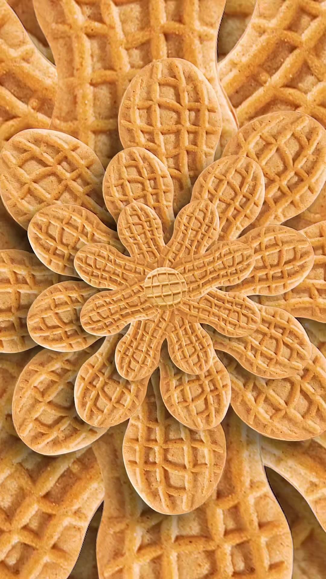 @nutter butter