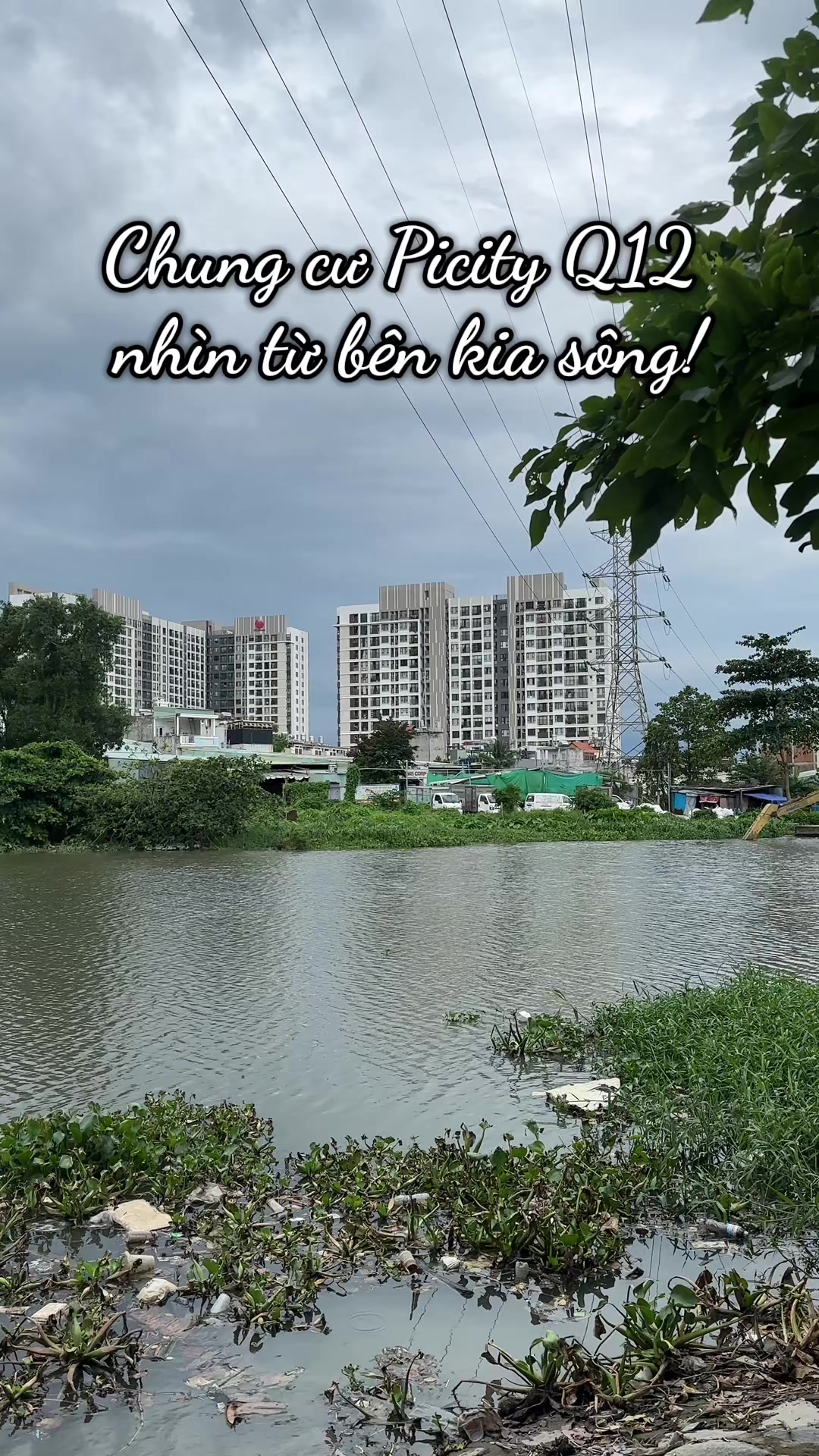 @Dâu Tây 69