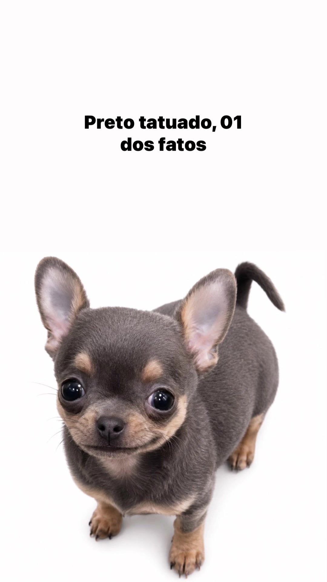 @user1606