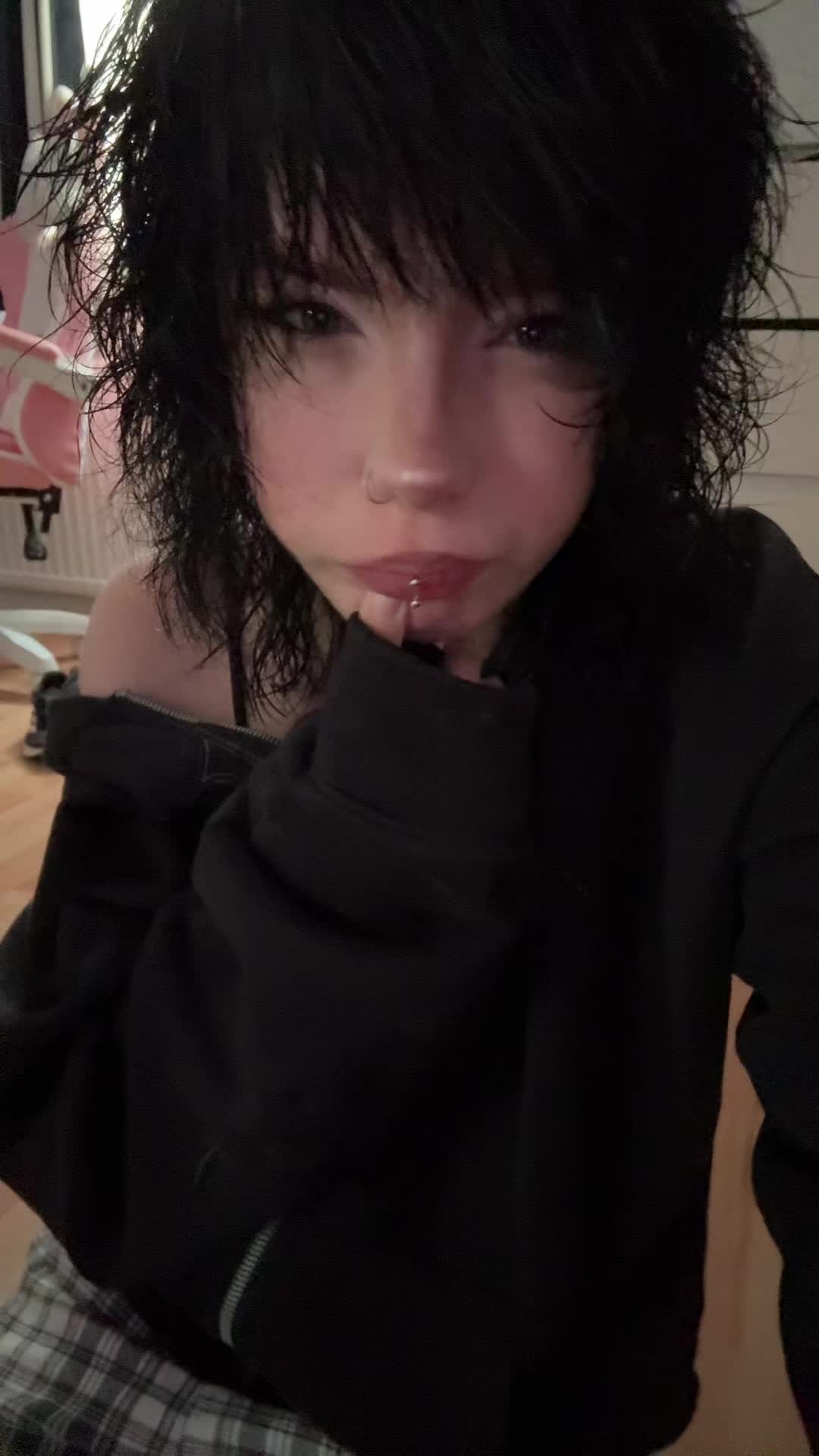 @๐
๐ถ๐ โ^. .^โโ