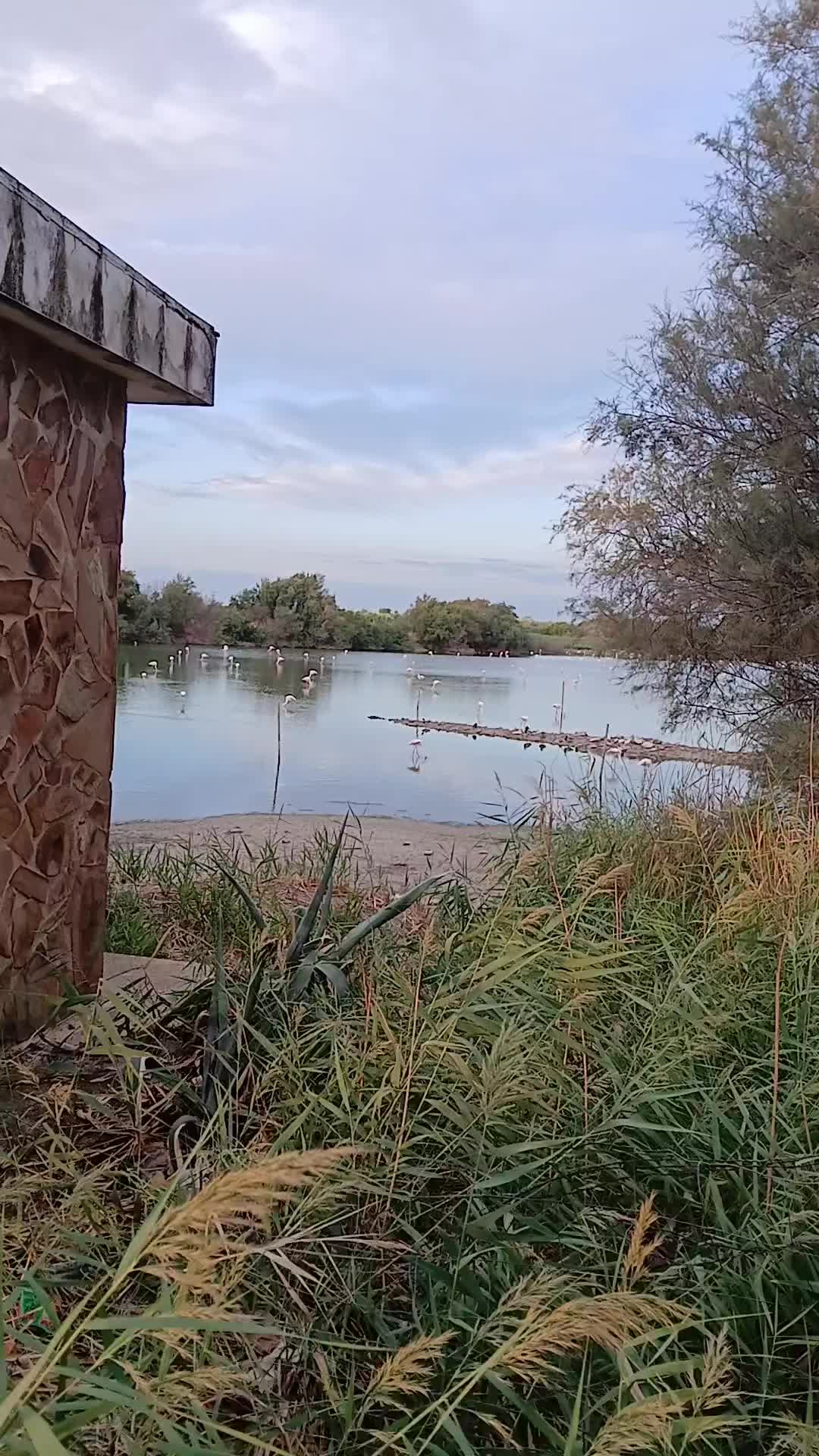 @Carpinteria Grijota