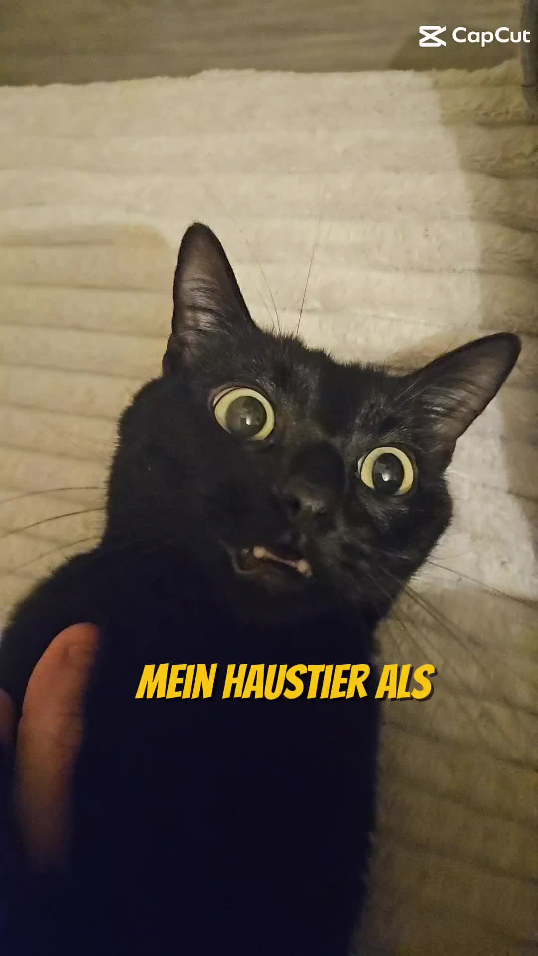 @Adryun.