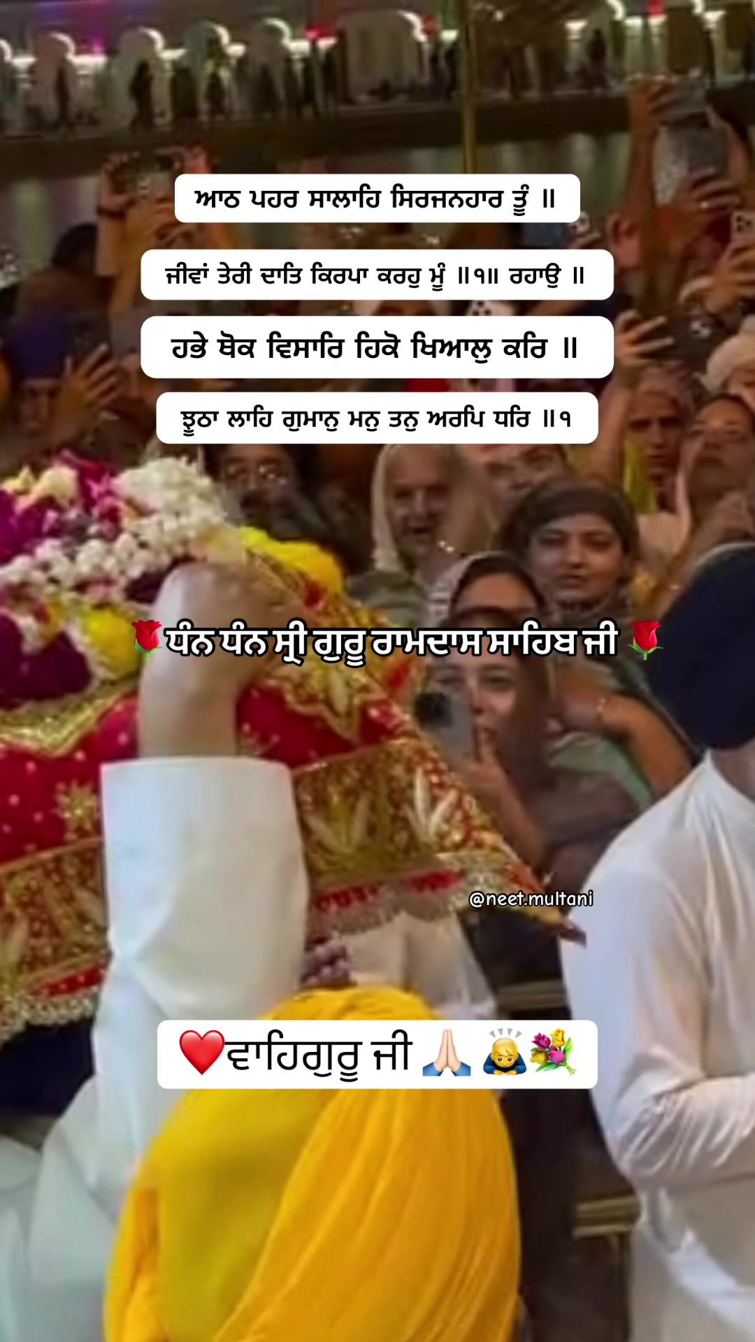 @neet.multani