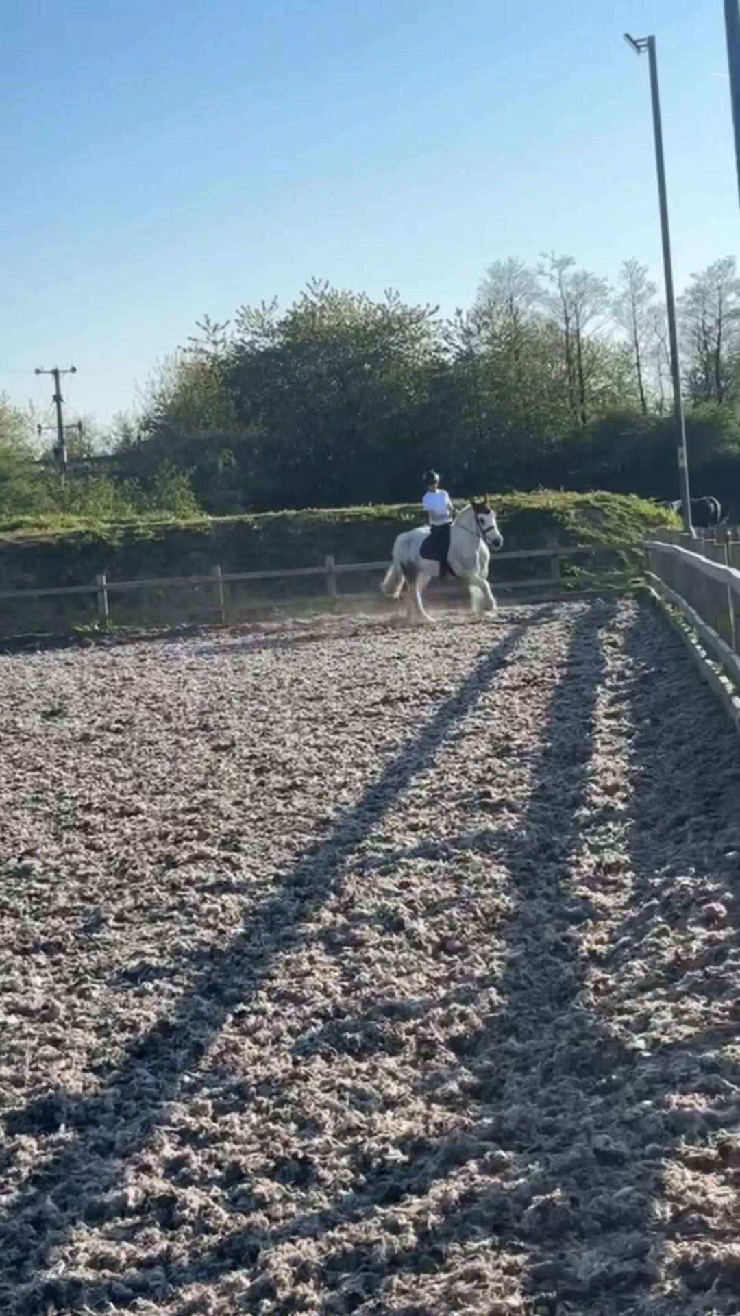@horse