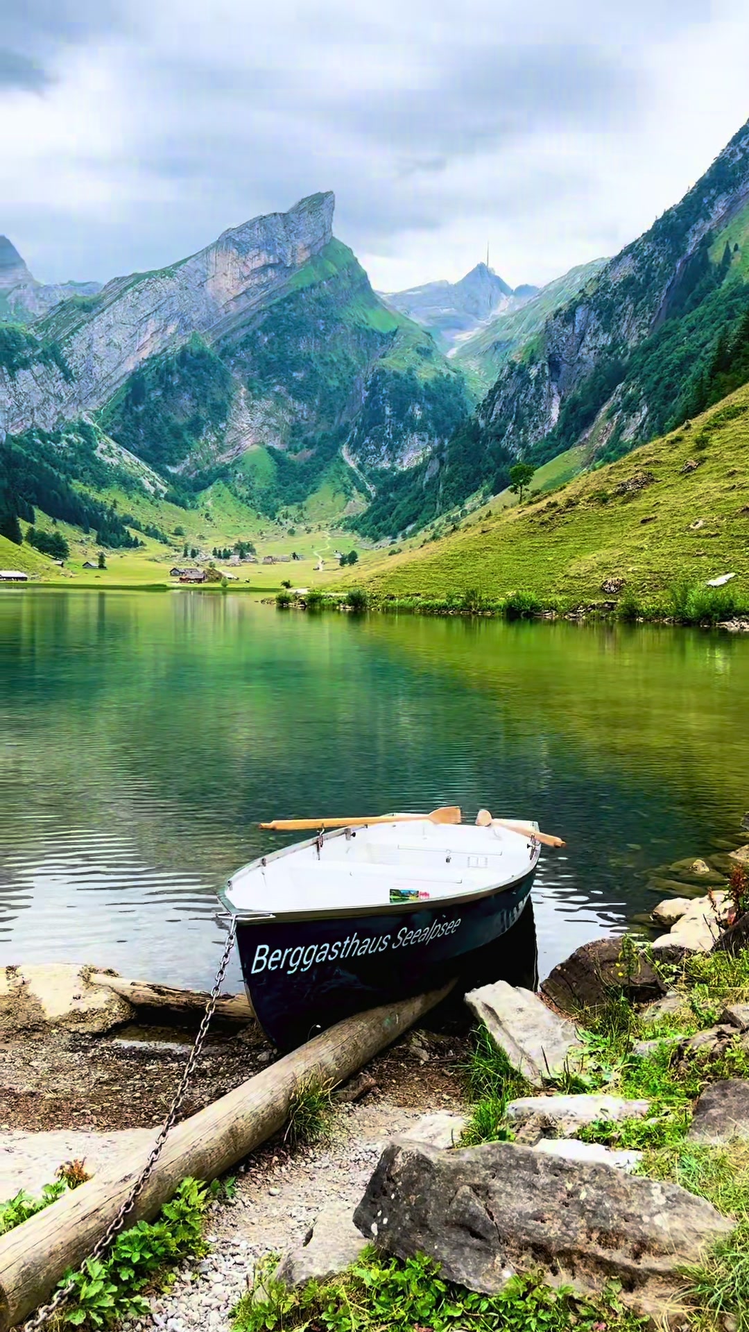 @Swiss_Vibe 🇨🇭