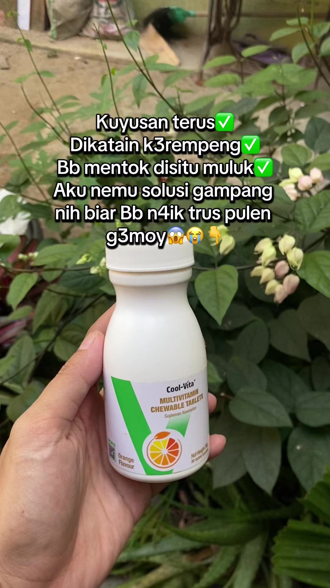 @fifi