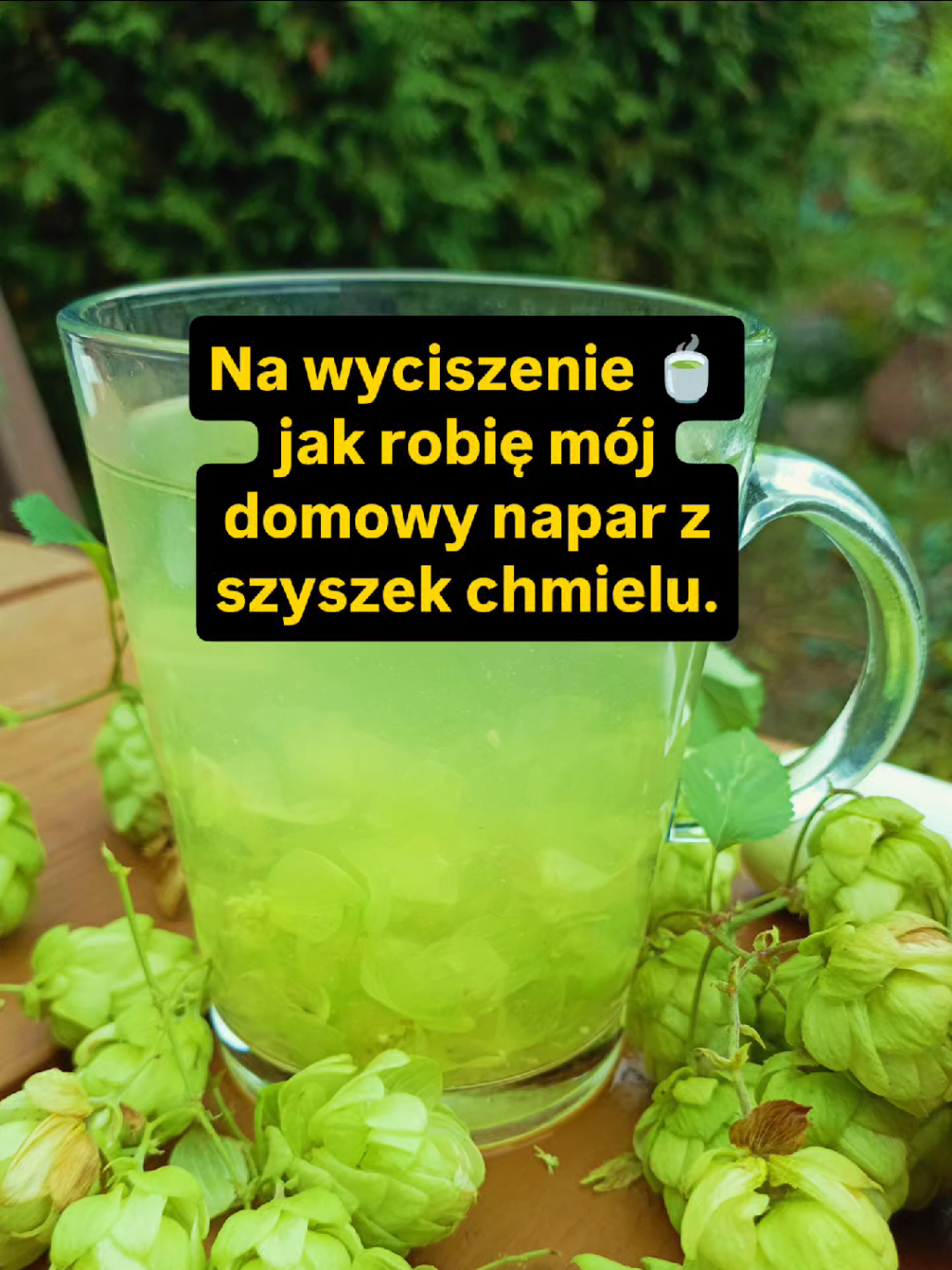 @Chwila Na Naturę🌿