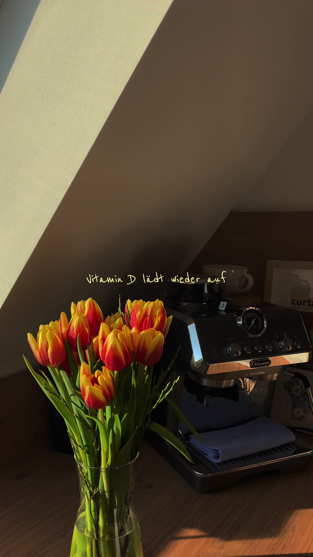 @Hannah mit H 🌼