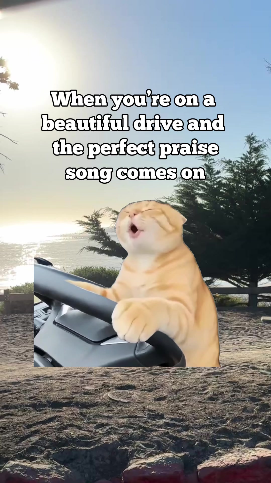 @Tara Big Sis Does TikTok