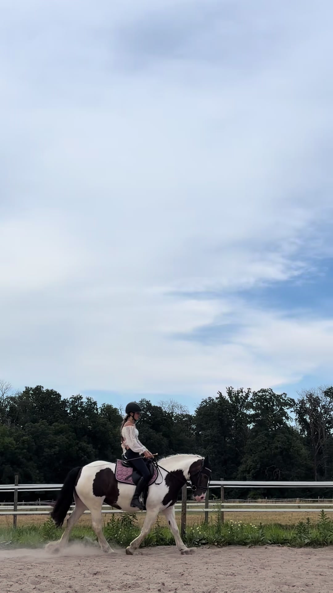 @🦄