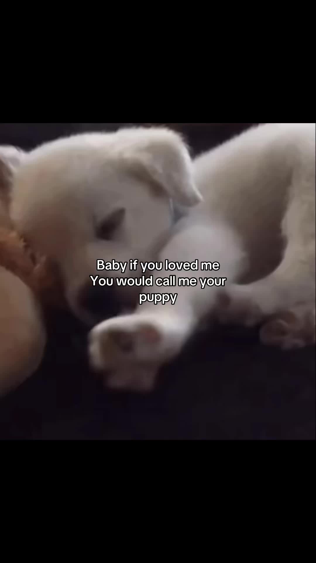 @Iris