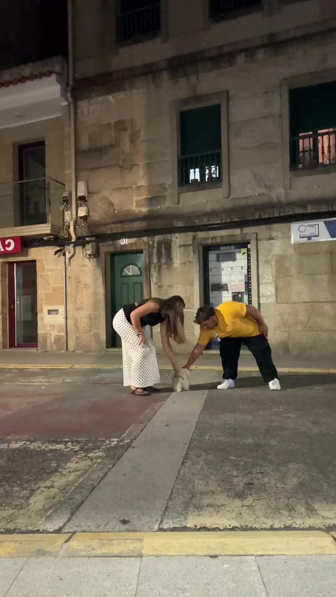 @desi & dami