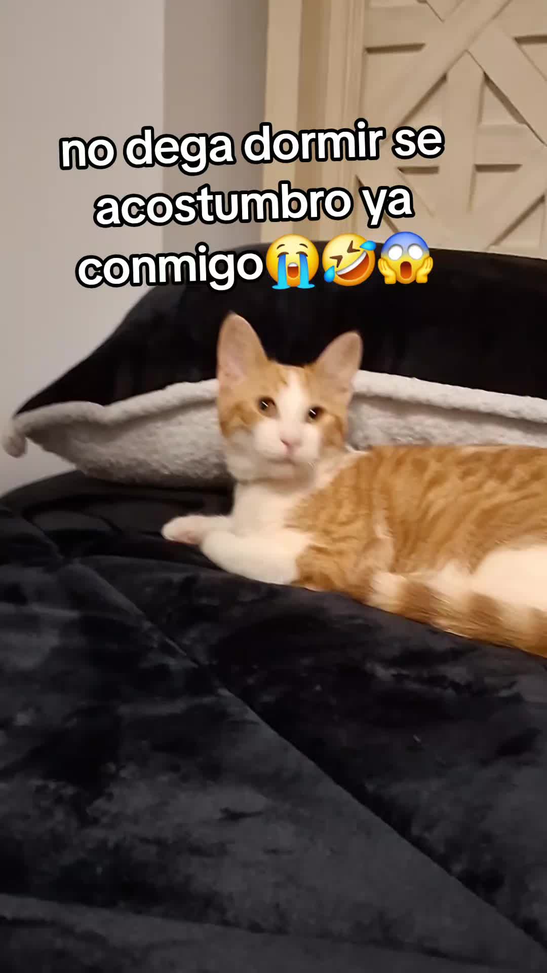 @Mamagatera20