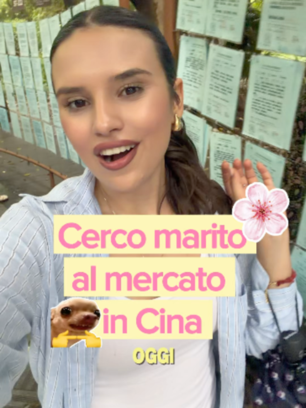 @Franlizzie