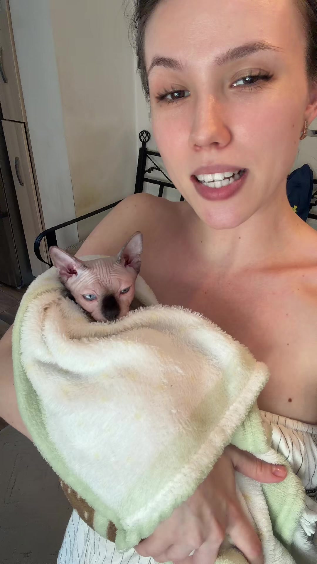 @Diana Ciortan Sphynx Romania