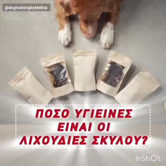 @dogtrainingbymelina