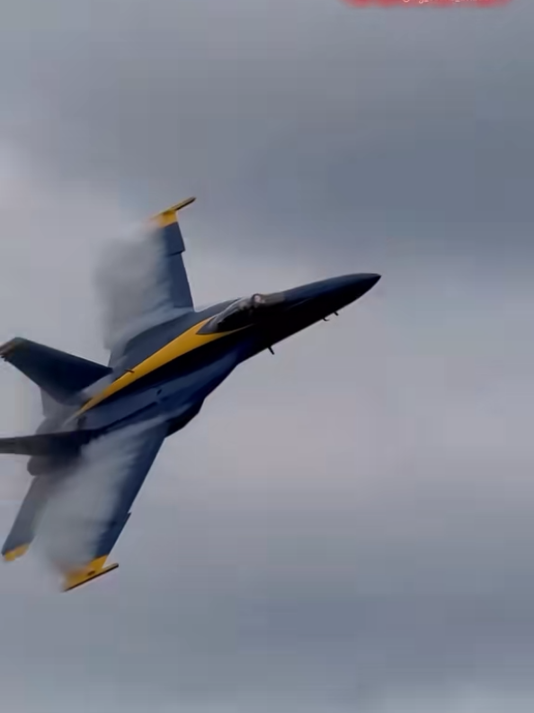 @الشاوي 🔥🇩🇿المتمرد🕸️ 🛩💙