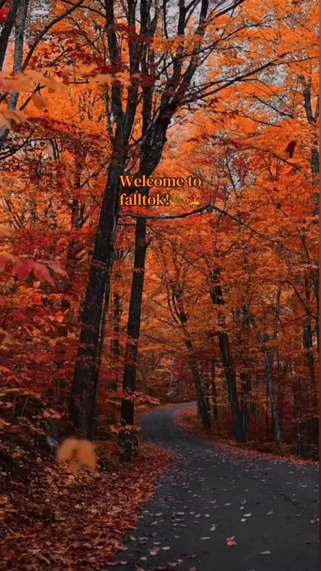@falltok 🍂