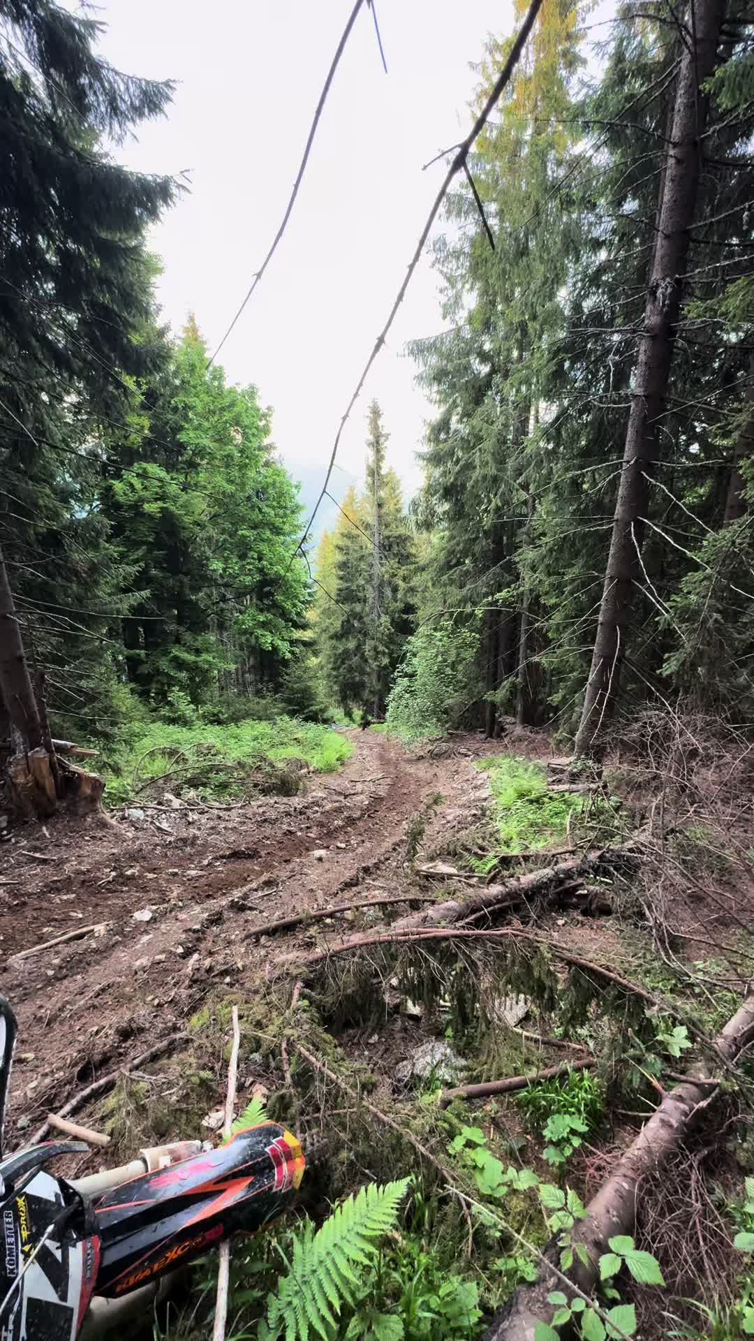 @moto.enduro