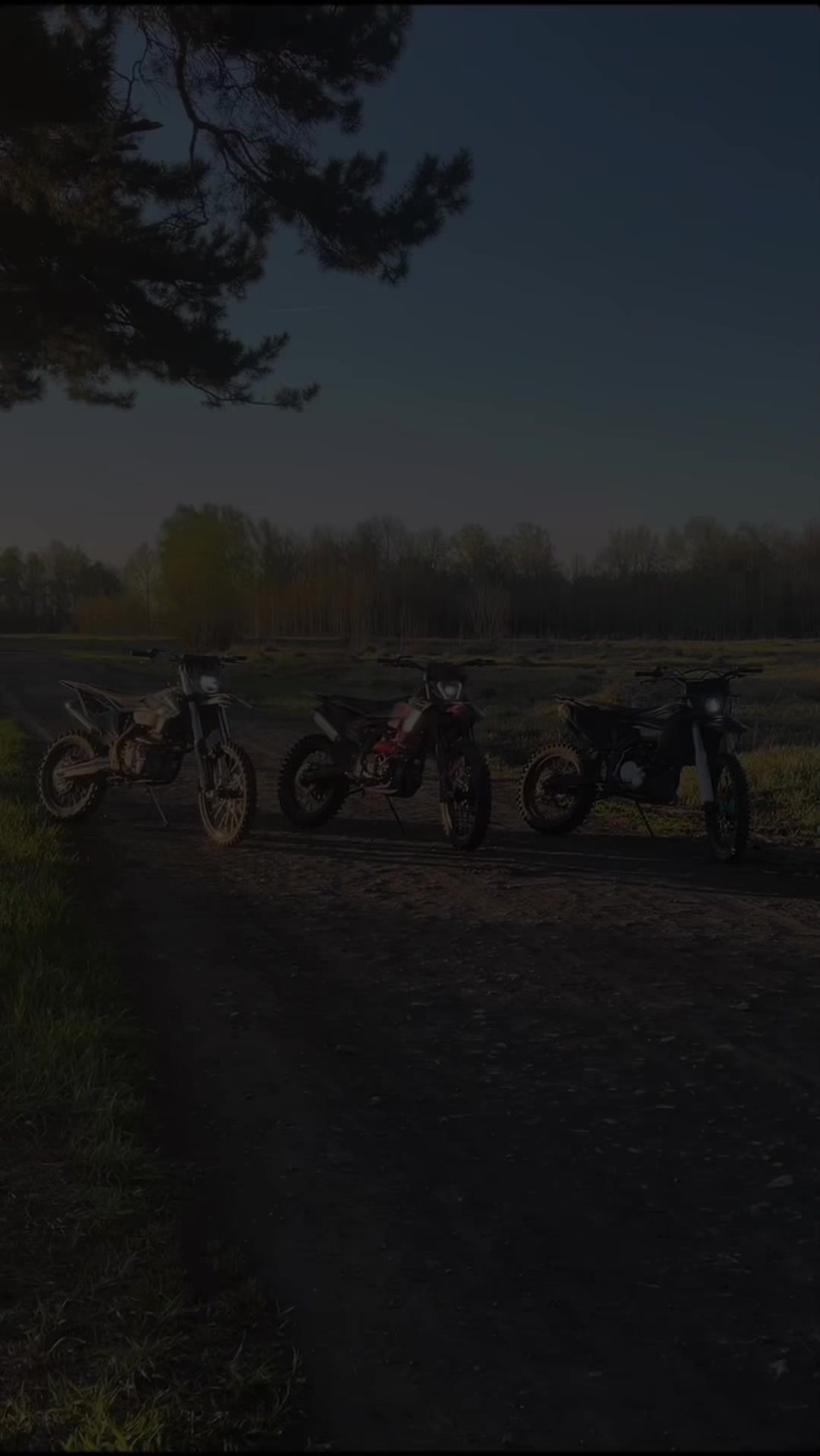 @AVANTIS TMT-TheMotoTeam