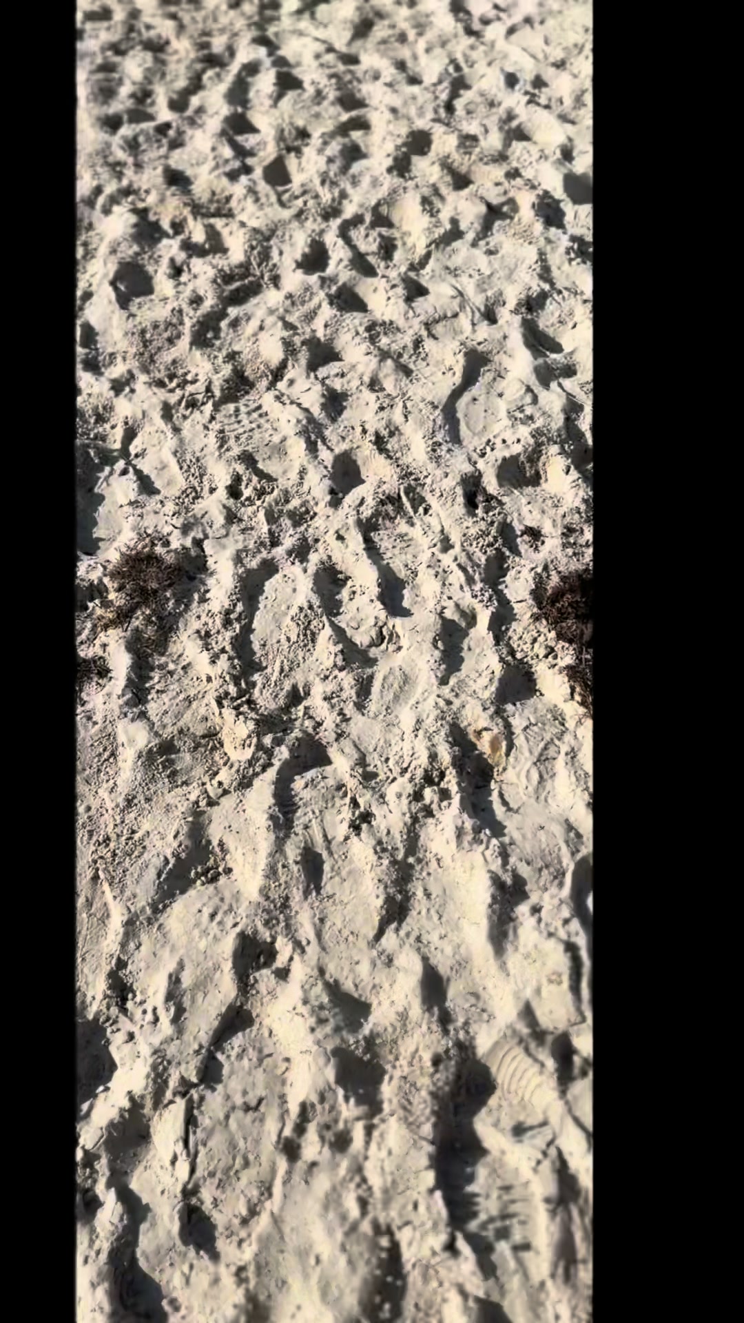 @Dayna.Freischnautze