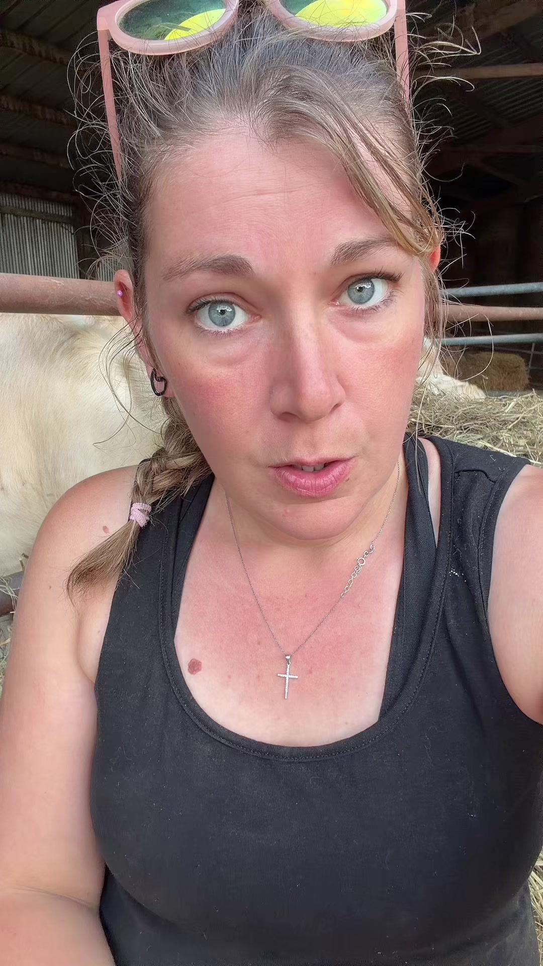 @ᏦᎥᎥᏦᏗᏗ 🌾🚜🐮