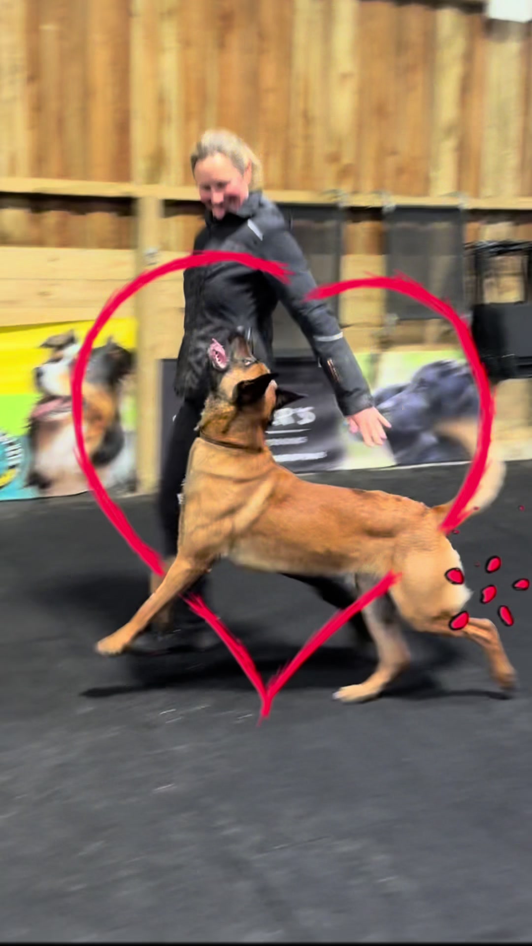 @thedogsportscoach