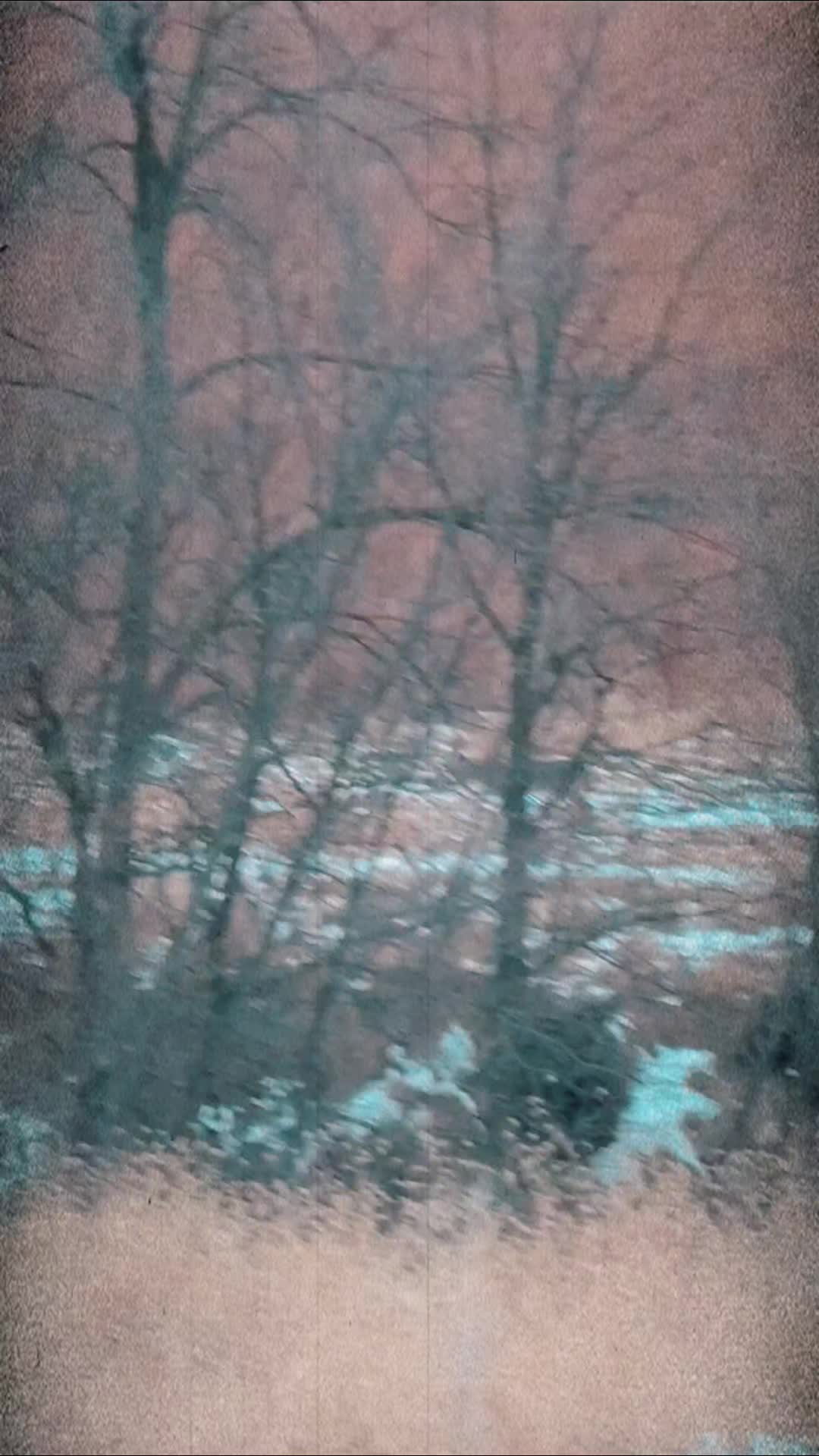 @ᥴꪖᦓᦓꪮꪀᦔ᥅ꪖ