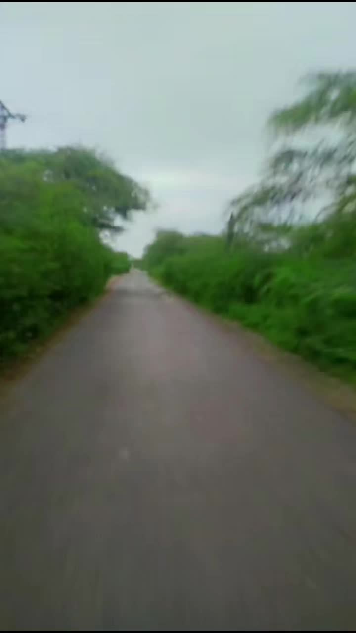 @shan Shah 222
