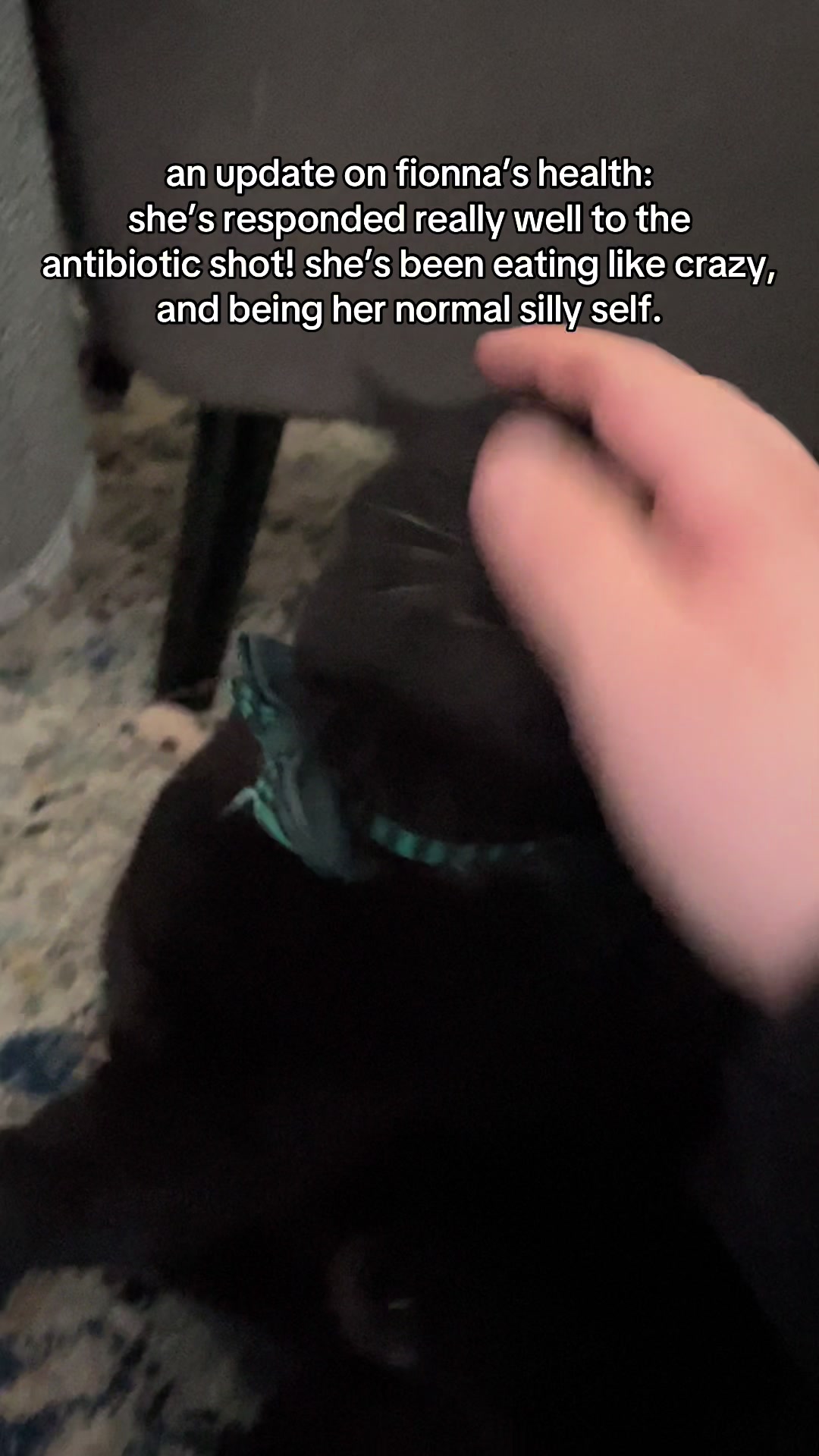 @Fifi La Floof