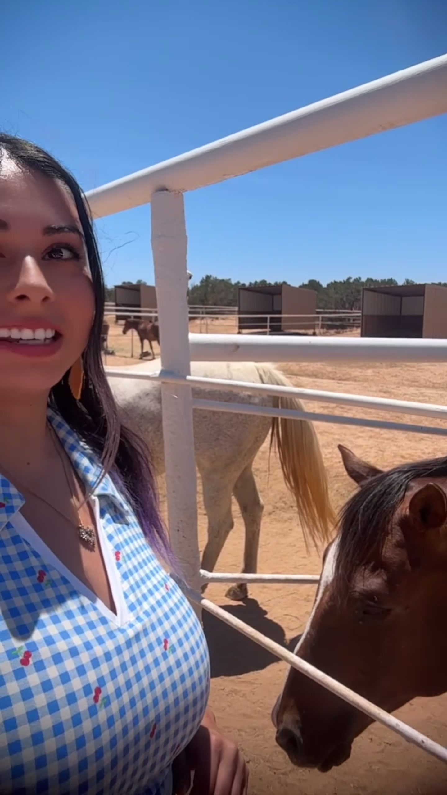 @dollymactv