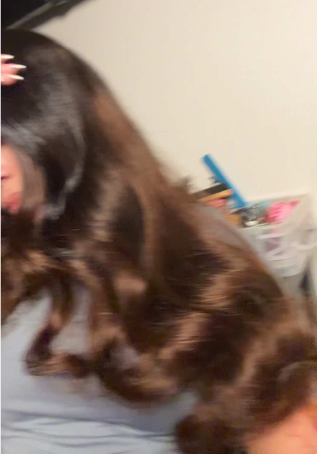 @shabreunaa