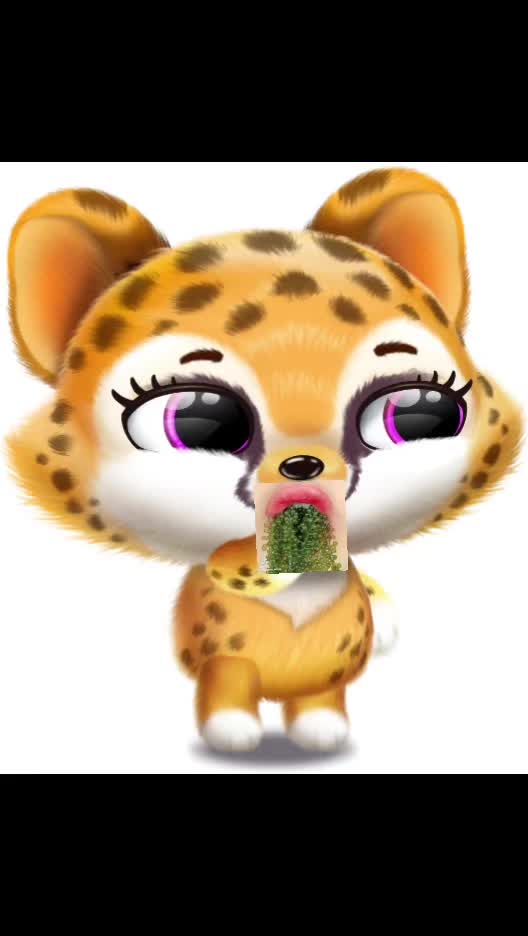 @Bluey